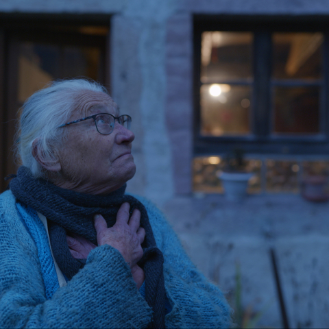 SUZANNE JOUR APRÈS JOUR - FFDL