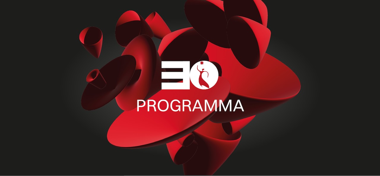 IL PROGRAMMA